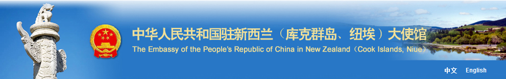 王小龙大使署名文章：中国是地区国家的发展伙伴