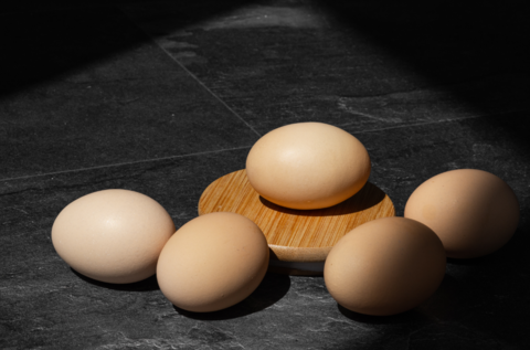 由于禁用层架式鸡笼养鸡，新西兰正陷入鸡蛋短缺困境