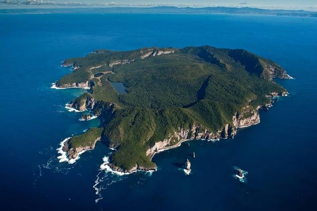 一男子在新西兰坠海 因手表反射阳光获救